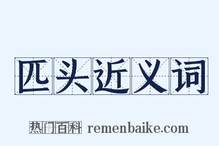 匹头近义词是什么意思的图片